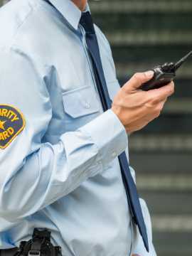 ENCARGADO(A) DE SEGURIDAD CIUDADANA